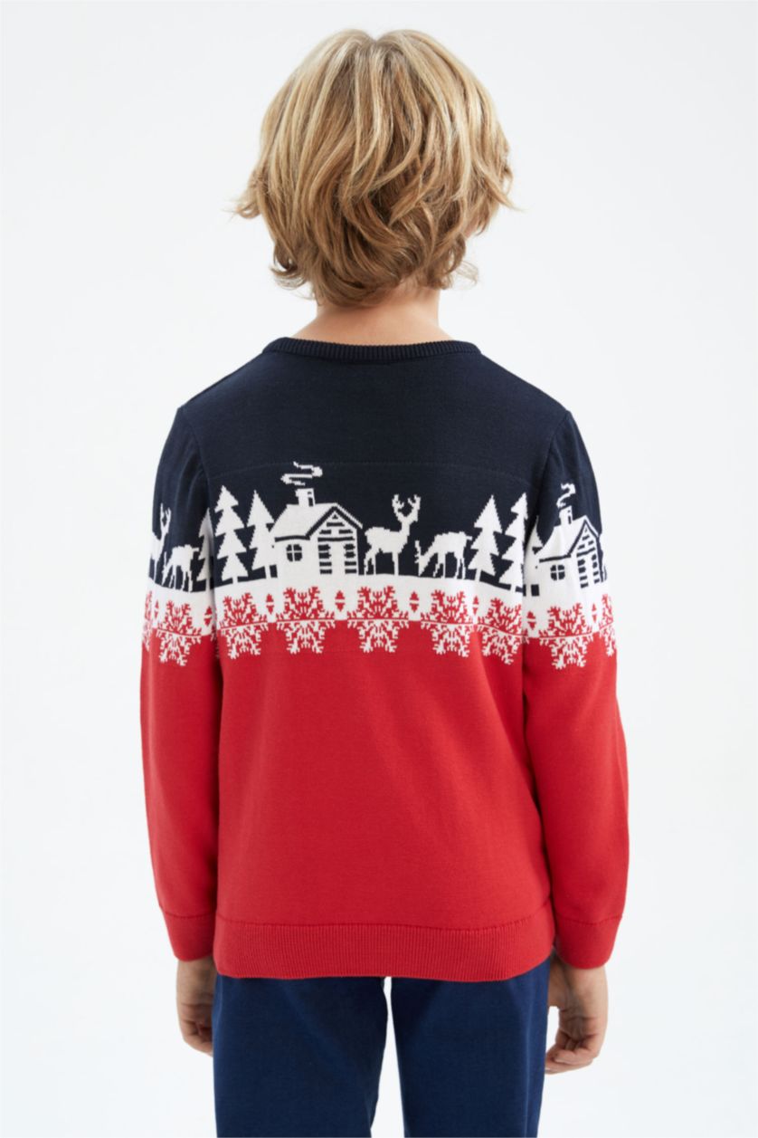 BOYS & TEENS Red Boy Regular Fit Crew Neck Pullover