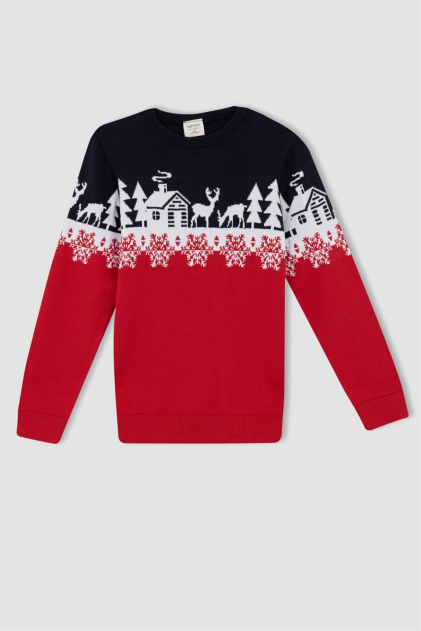 BOYS & TEENS Red Boy Regular Fit Crew Neck Pullover