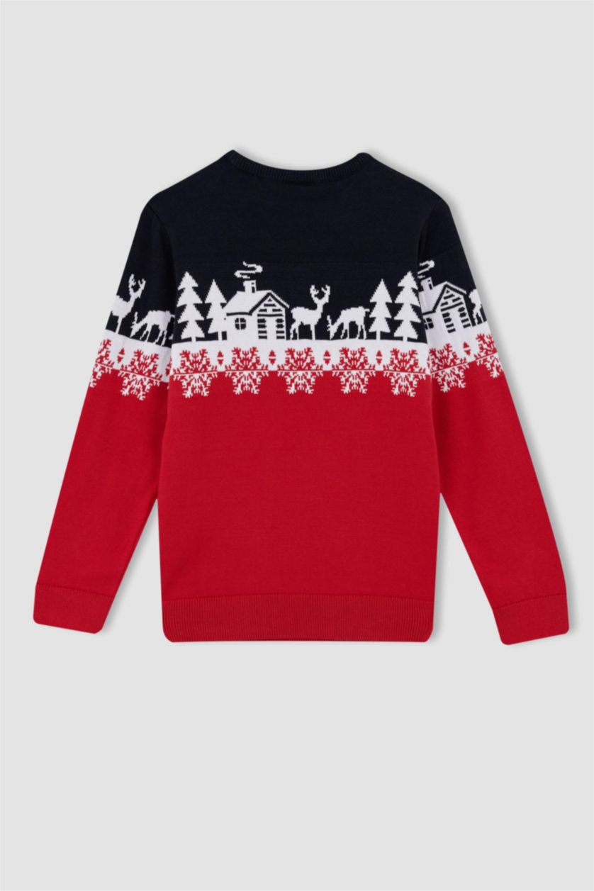 BOYS & TEENS Red Boy Regular Fit Crew Neck Pullover