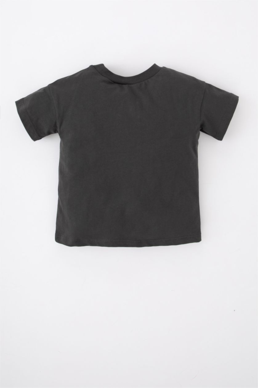 Erkek Bebek Antrasit Erkek Bebek Bisiklet Yaka Hayvan Desenli Kısa Kollu Tişört