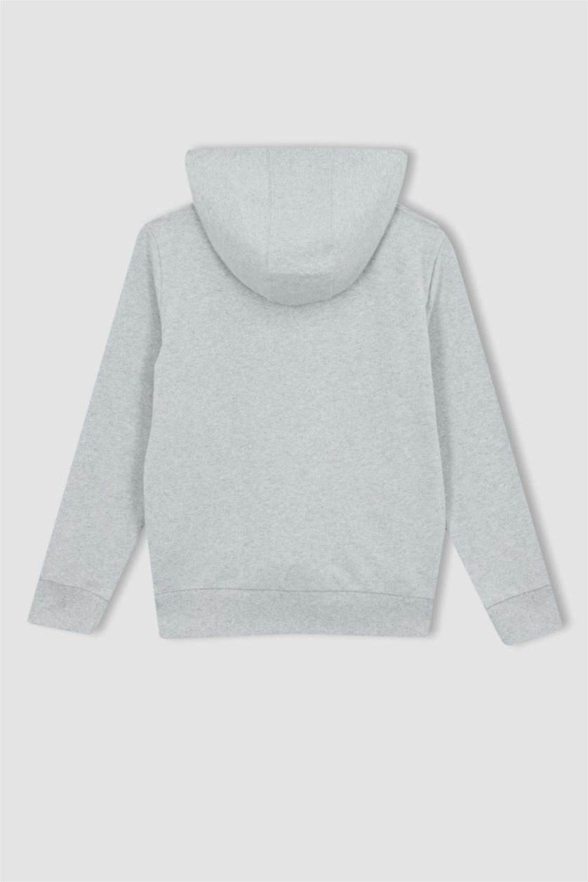 BOYS & TEENS Light Grey Melange Boy Printed Hoodie 2-Pack Set