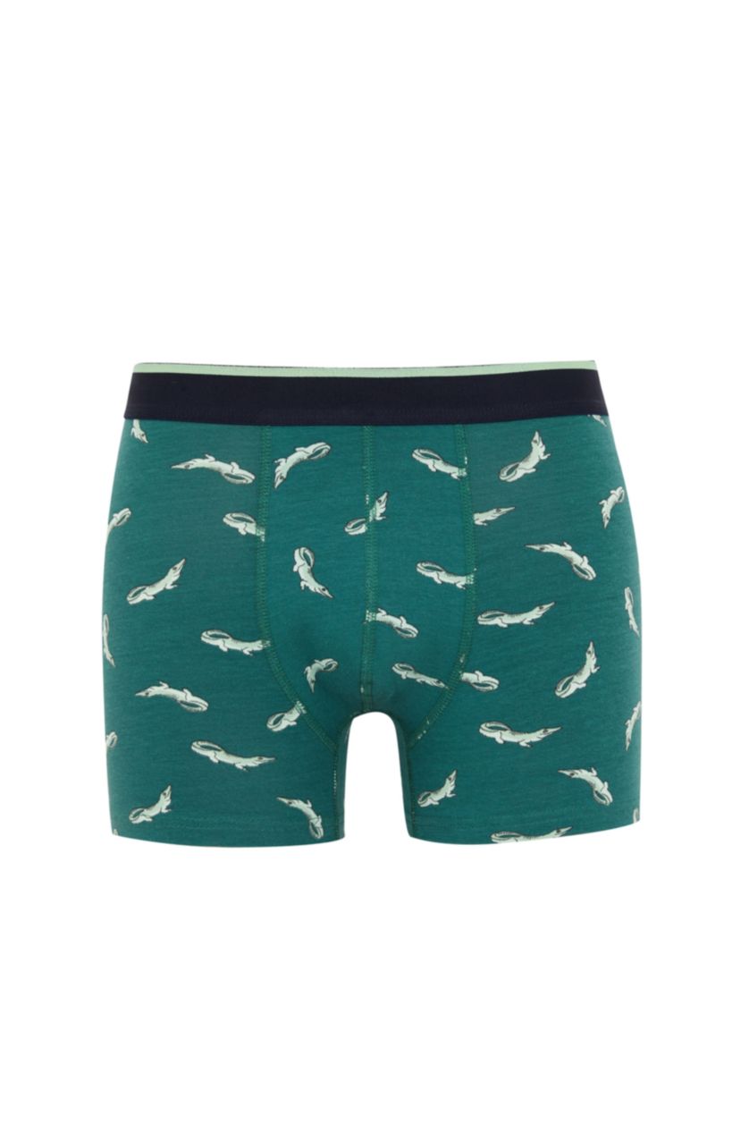 Erkek Yeşil Regular Fıt