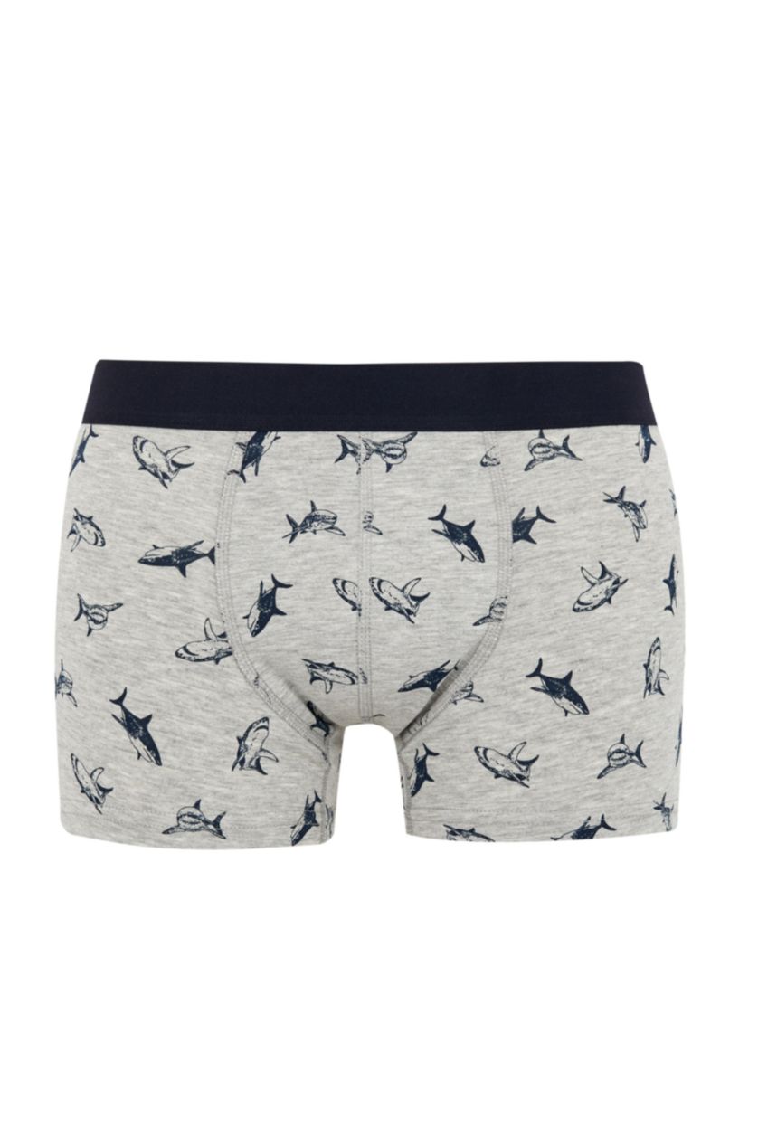 MAN Grey Melange Regular Fit Boxer