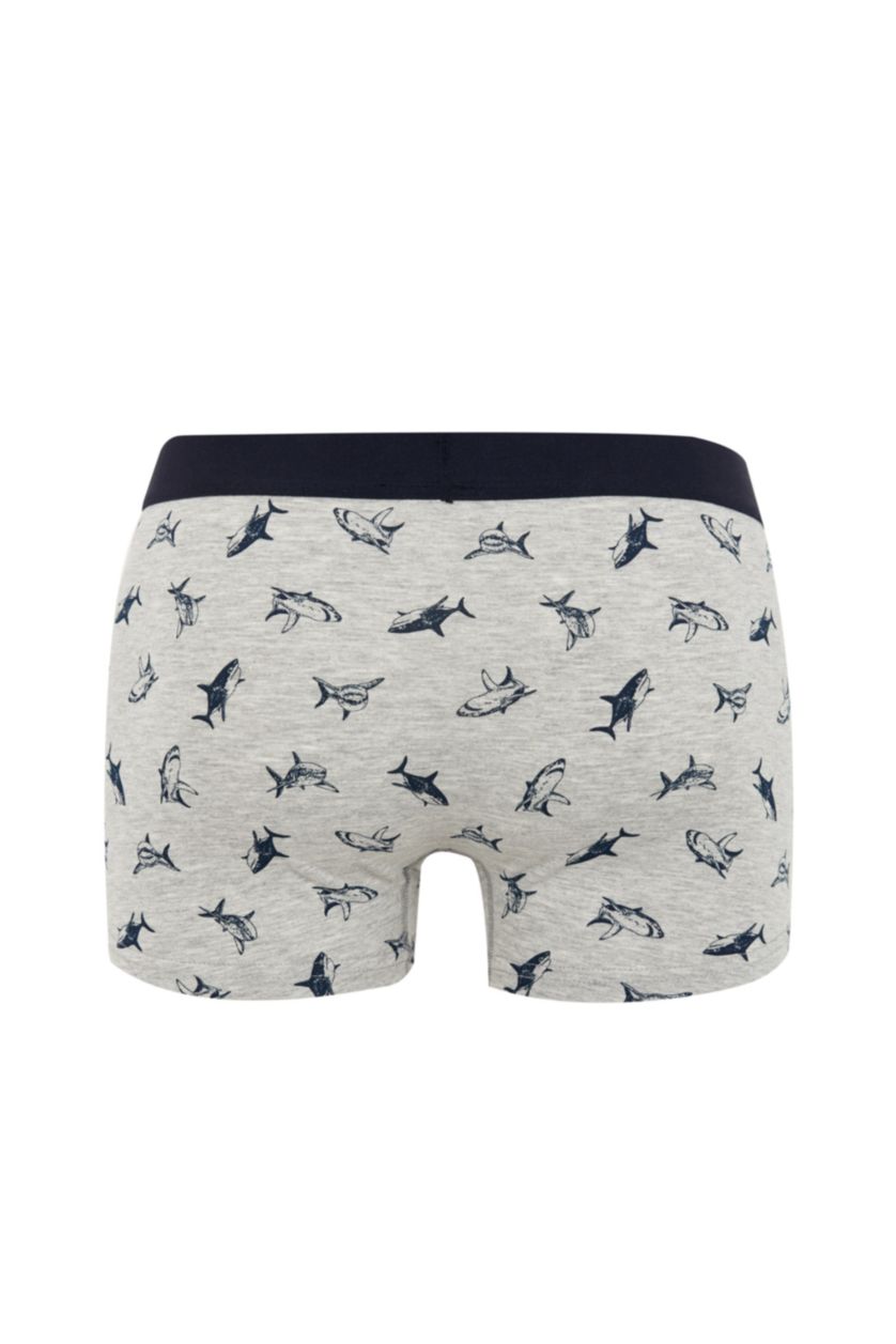 MAN Grey Melange Regular Fit Boxer