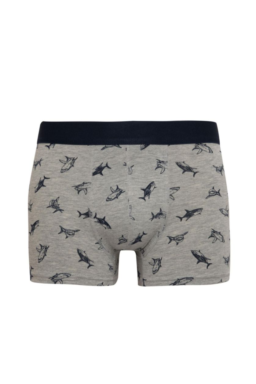 Erkek Gri Melanj Regular Fıt Boxer