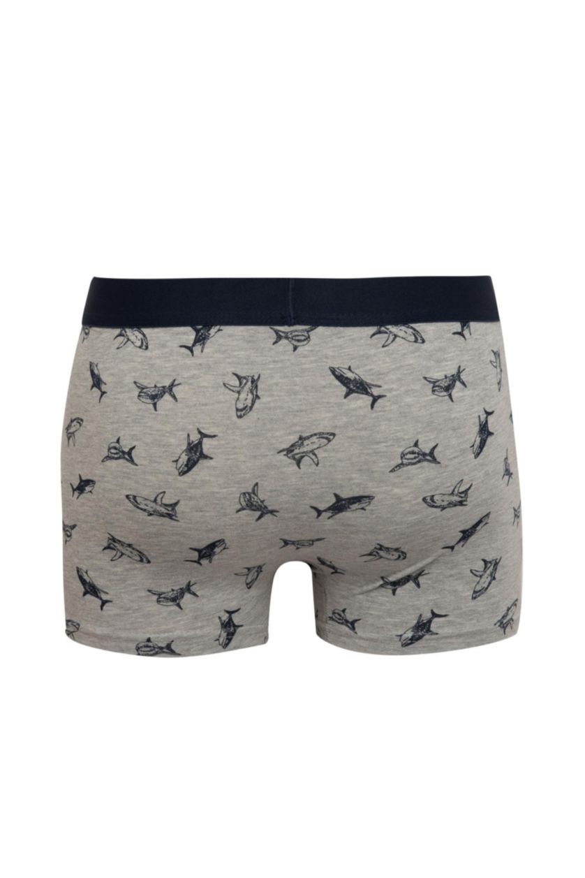 Erkek Gri Melanj Regular Fıt Boxer