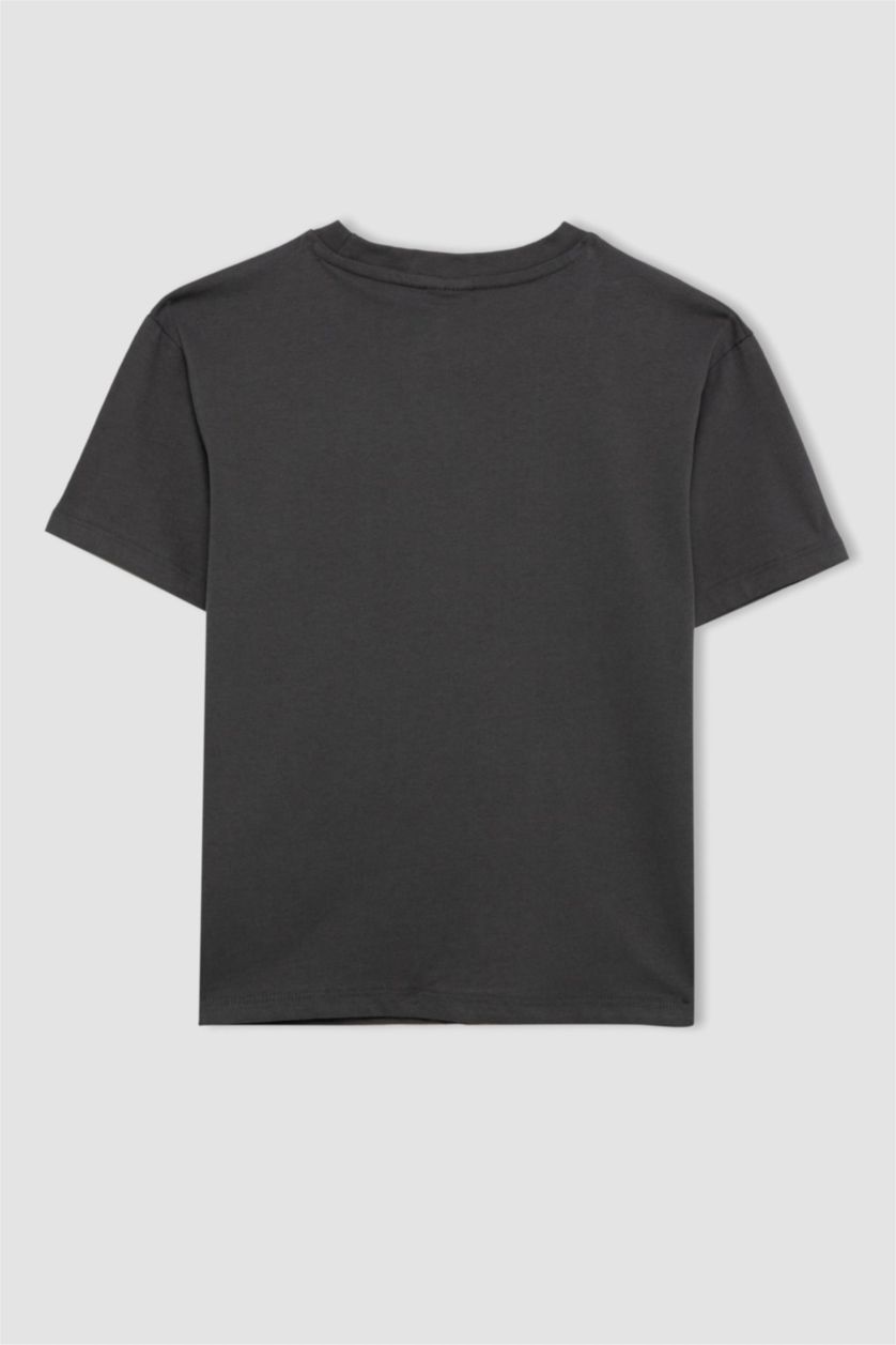 Erkek Çocuk - Genç Erkek Antrasit Bisiklet Yaka Degrade Baskılı Kısa Kollu Tişört Erkek Çocuk