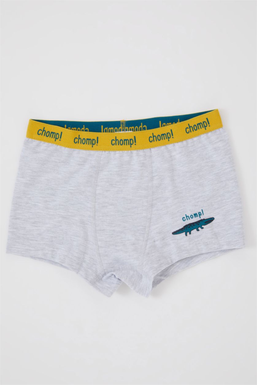 Boys & Teens NAVY Boy 3 piece Boxer