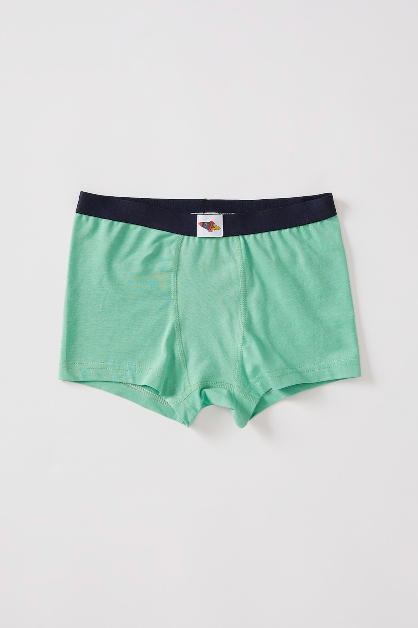 Young Boys - Teen Boys Mint Boy 3 Pack Boxer
