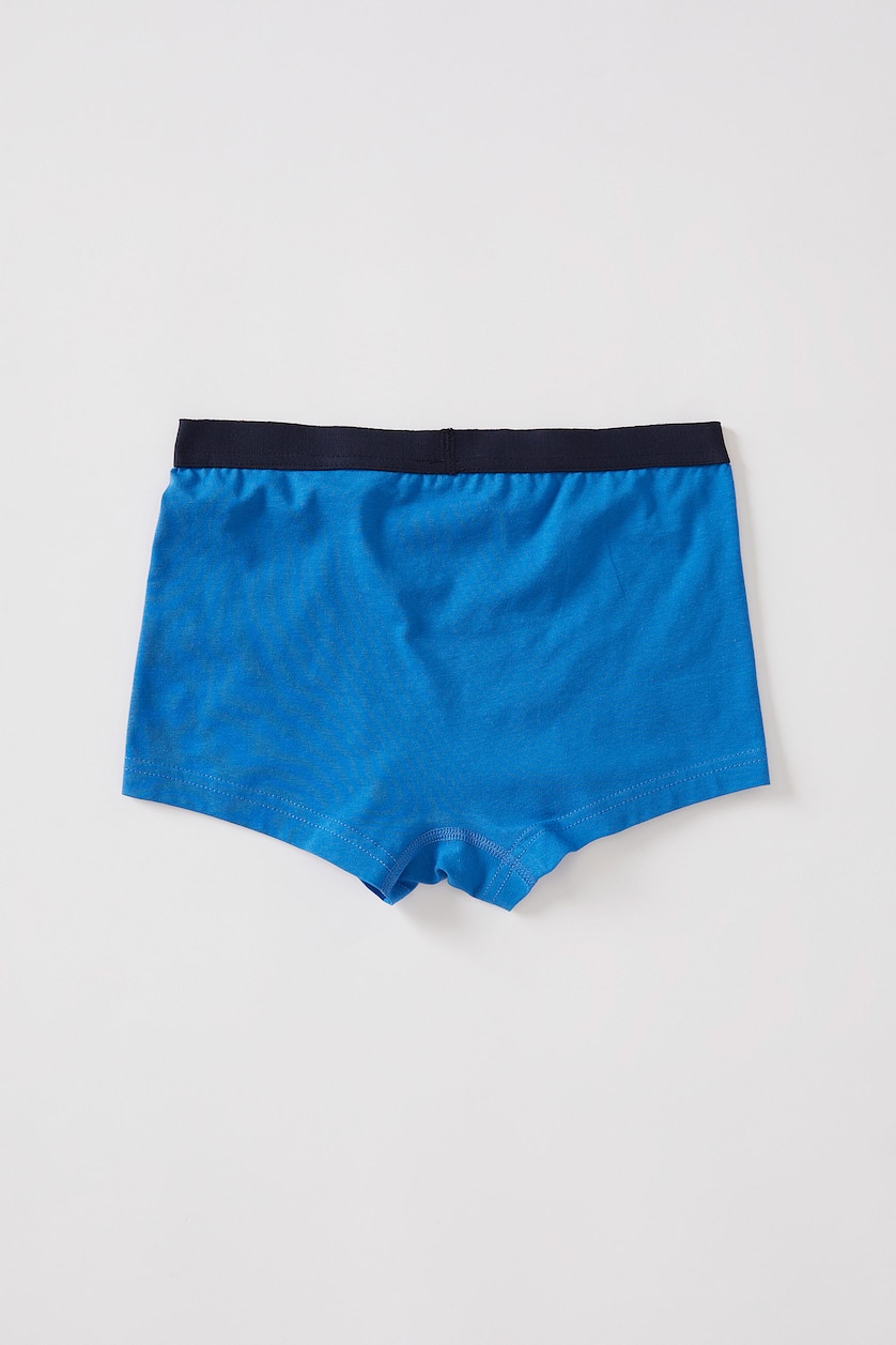 Young Boys - Teen Boys Mint Boy 3 Pack Boxer