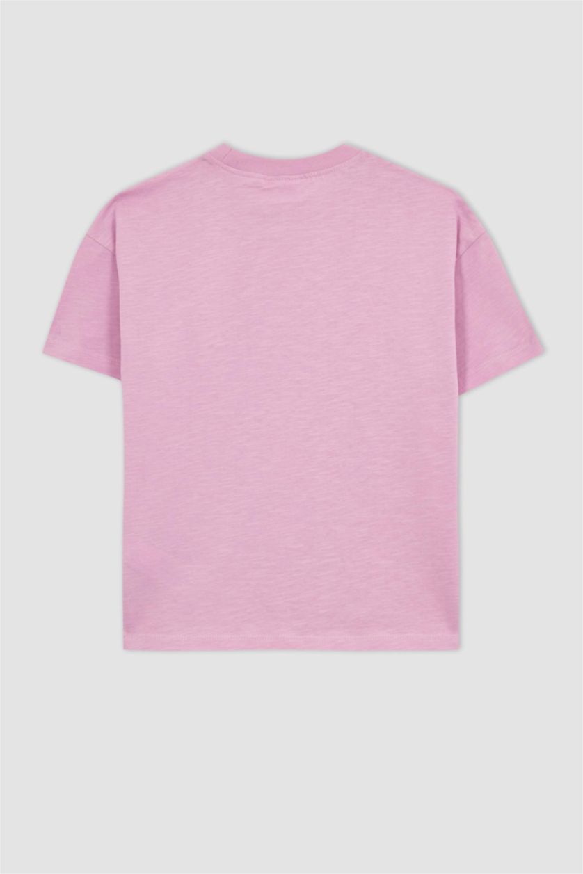 Girls & Teens Pink Girl Sonic the Hedgehog Relax Fit Short Sleeve T-Shirt