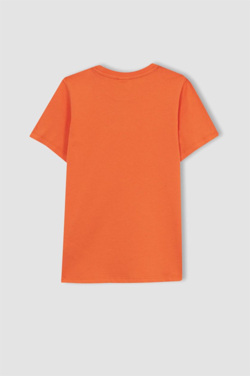 BOYS & TEENS Orange Boy Regular Fit Crew Neck Printed Short Sleeve T-Shirt