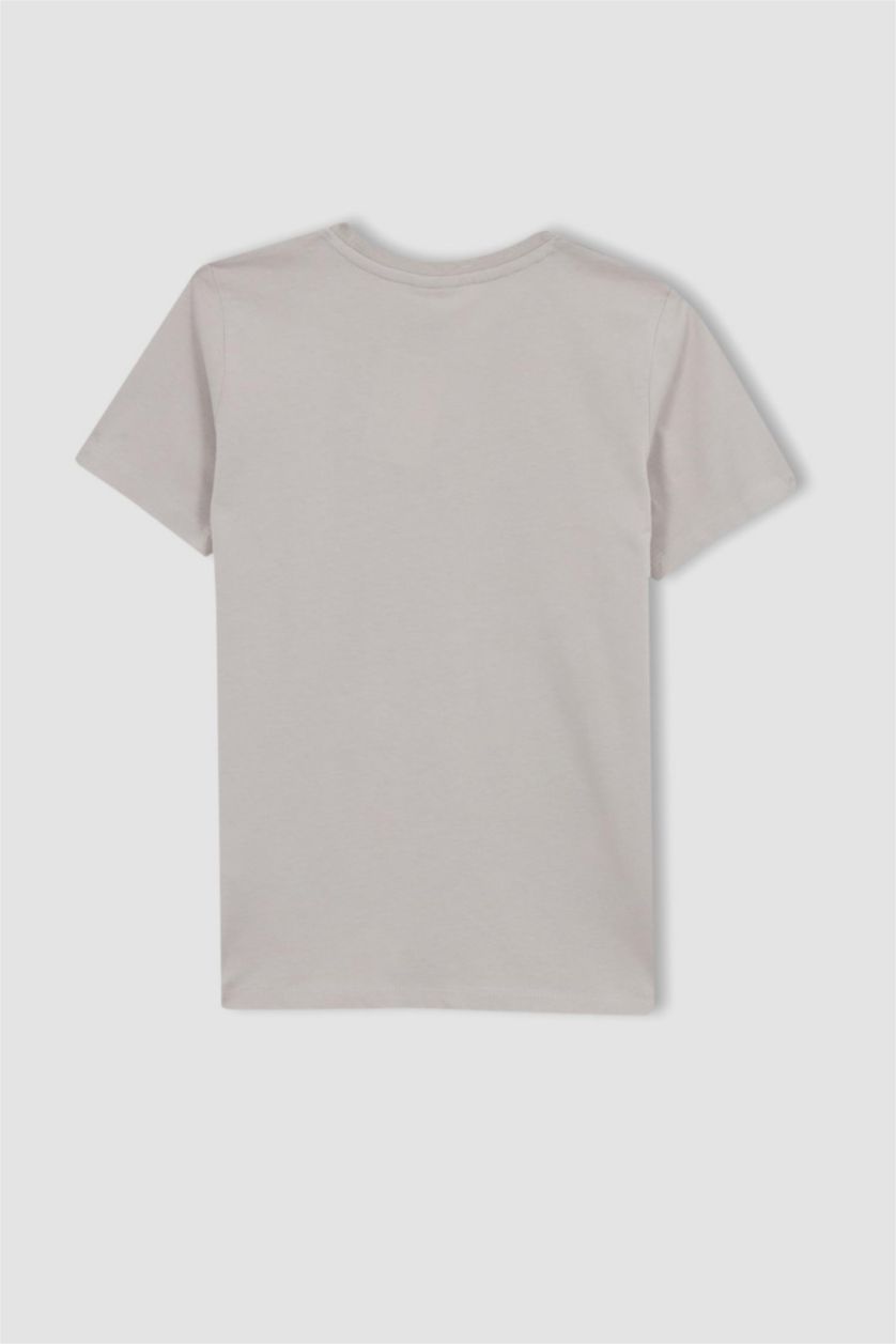 BOYS & TEENS Grey Boy Regular Fit Crew Neck Printed Short Sleeve T-Shirt